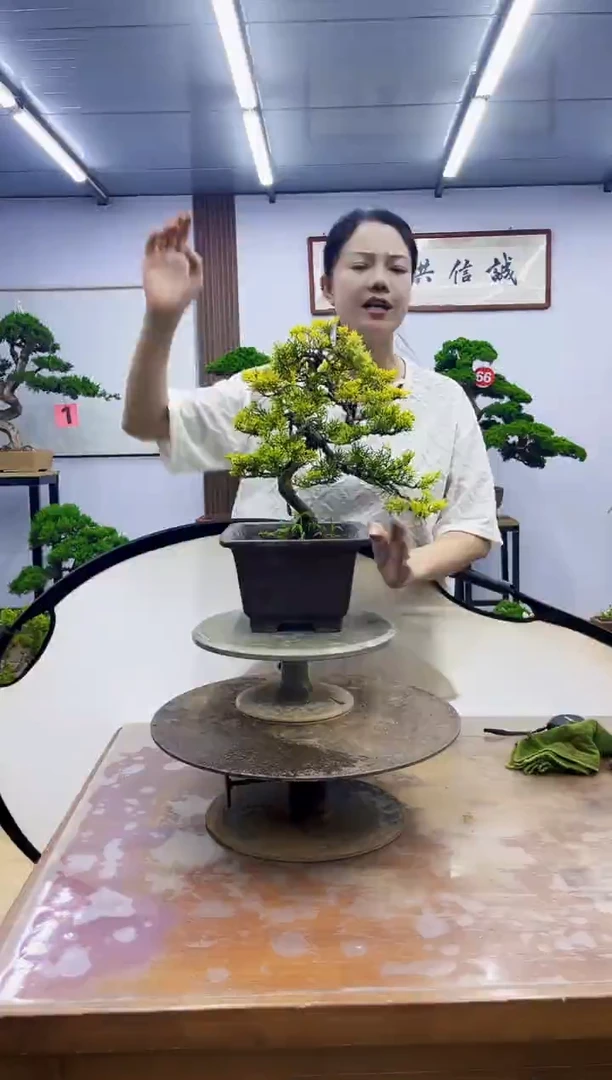 无花朵临****术0000000000