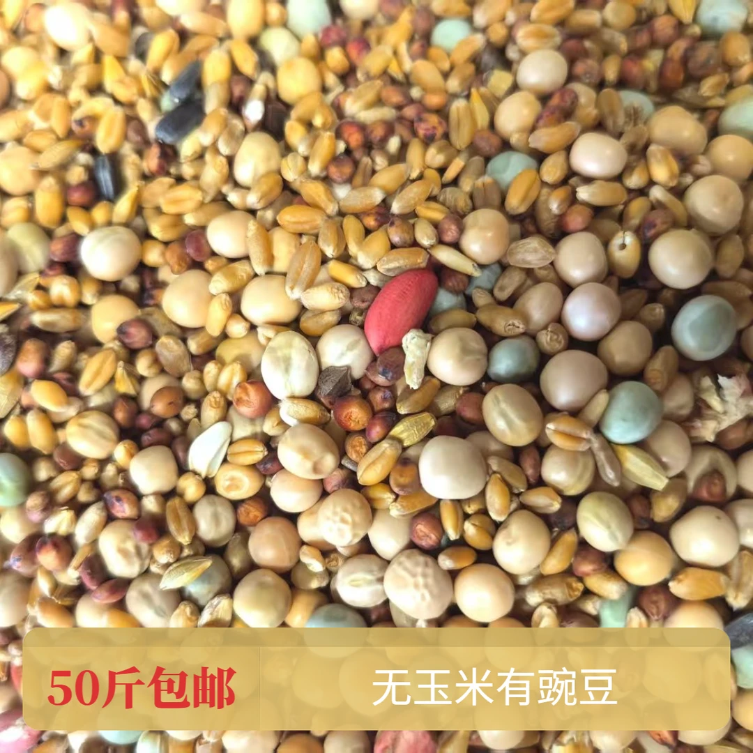 50斤鸽子粮有玉米鸽粮食营养饲料鸟食信鸽观赏鸽肉鸽幼鸽成鸽粮鲜