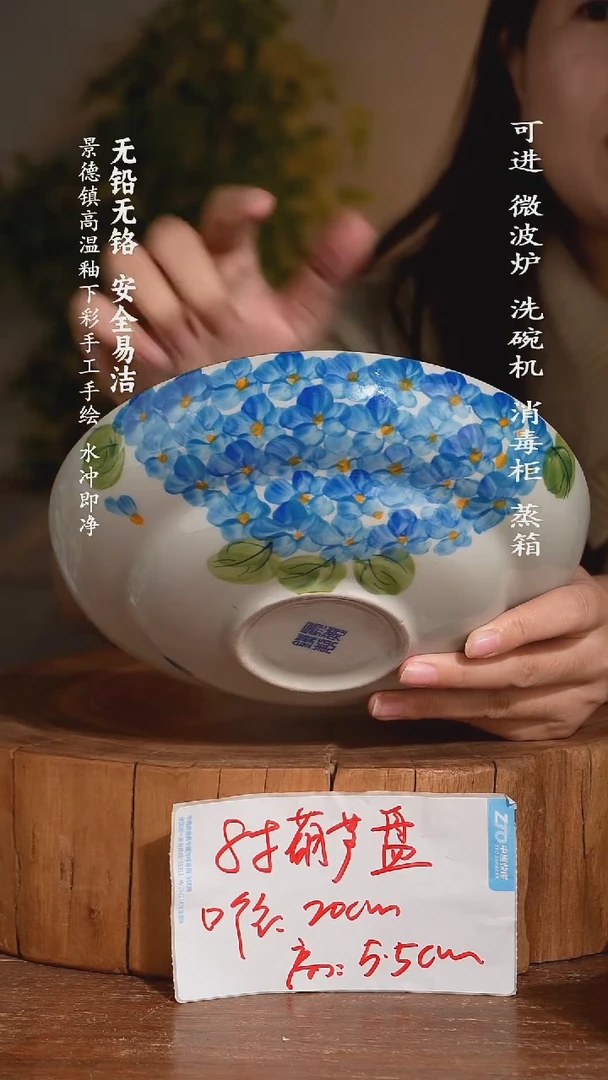 碗瓷景德镇高温瓷釉下彩手绘陶瓷