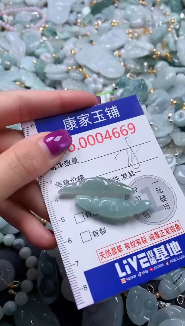 颈饰未镶嵌翡翠4669