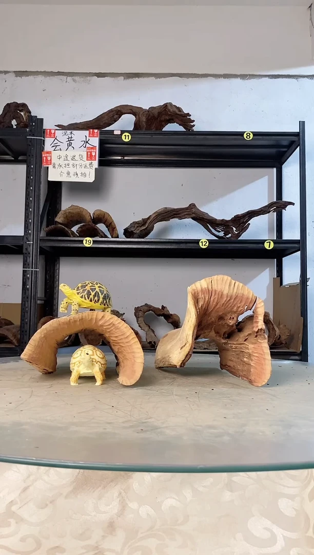 赫**生鱼缸爬宠造景素材870