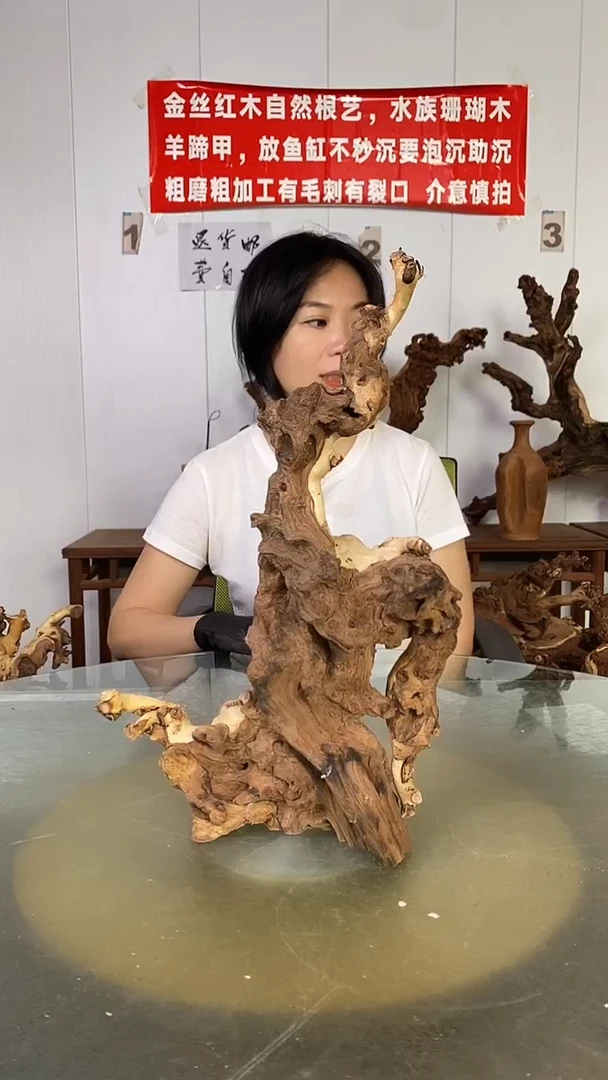 香榧木孙*敏金丝红木 羊蹄甲