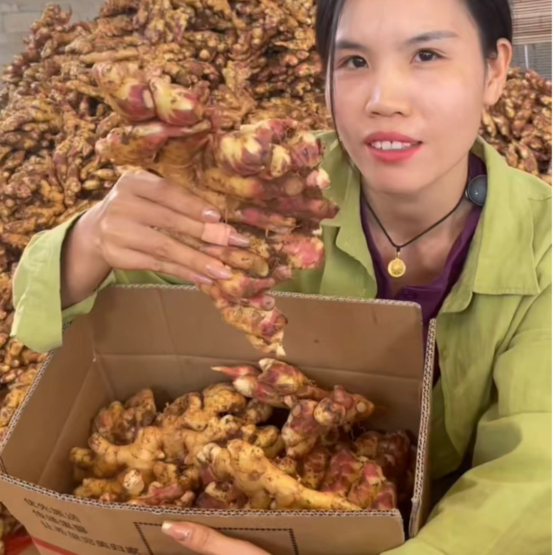 【品质精选】云南源产地小黄姜新鲜现挖现发小黄姜新老姜批发调味品