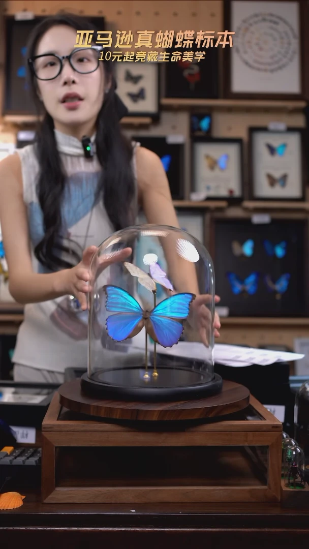 夜明珠+大蓝玻璃罩款d224