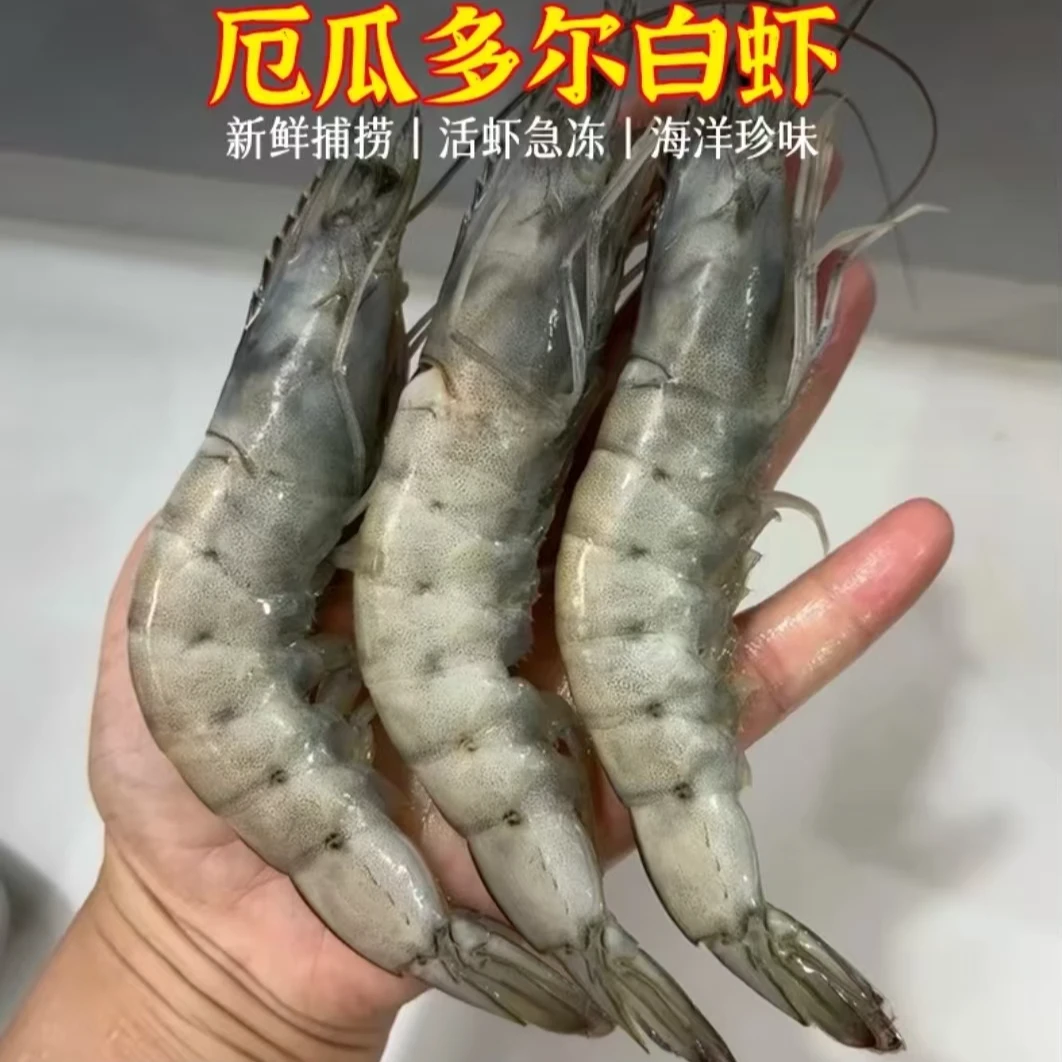 厄瓜多尔原装桑塔盐冻大虾3040规格 净重三斤顺丰包邮