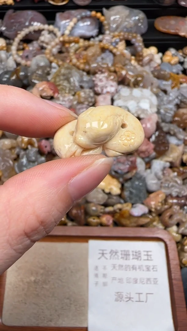 硅化珊瑚（珊瑚玉）未镶嵌颈饰689