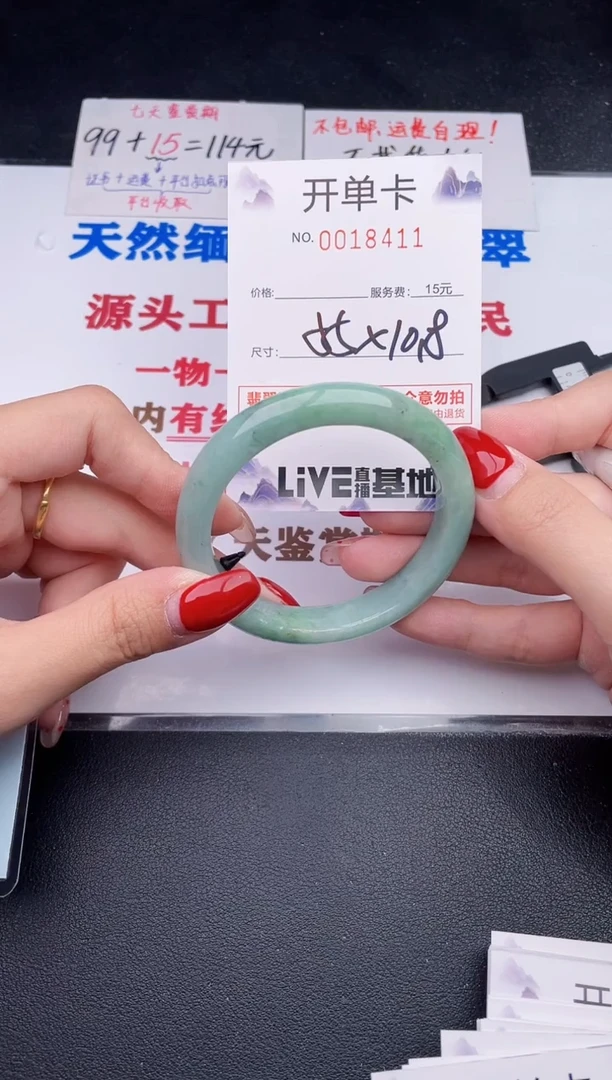 未镶嵌手镯翡翠11