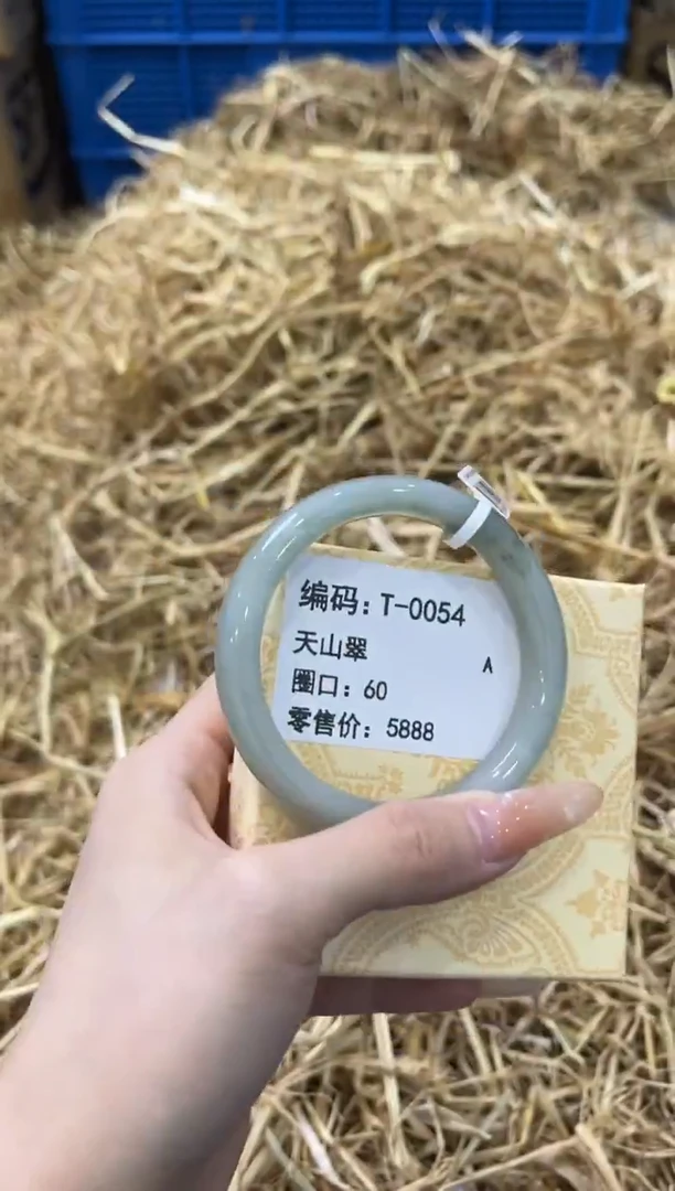 未镶嵌手镯石英质玉T-0054