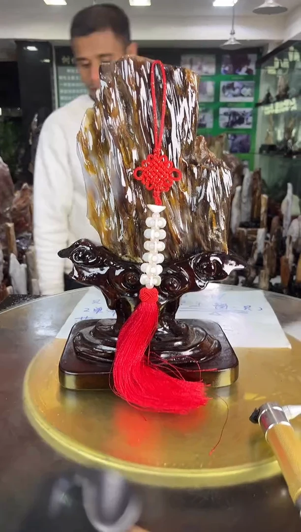 未镶嵌珠宝奇石硅化玉缅甸天然树化玉精品摆件