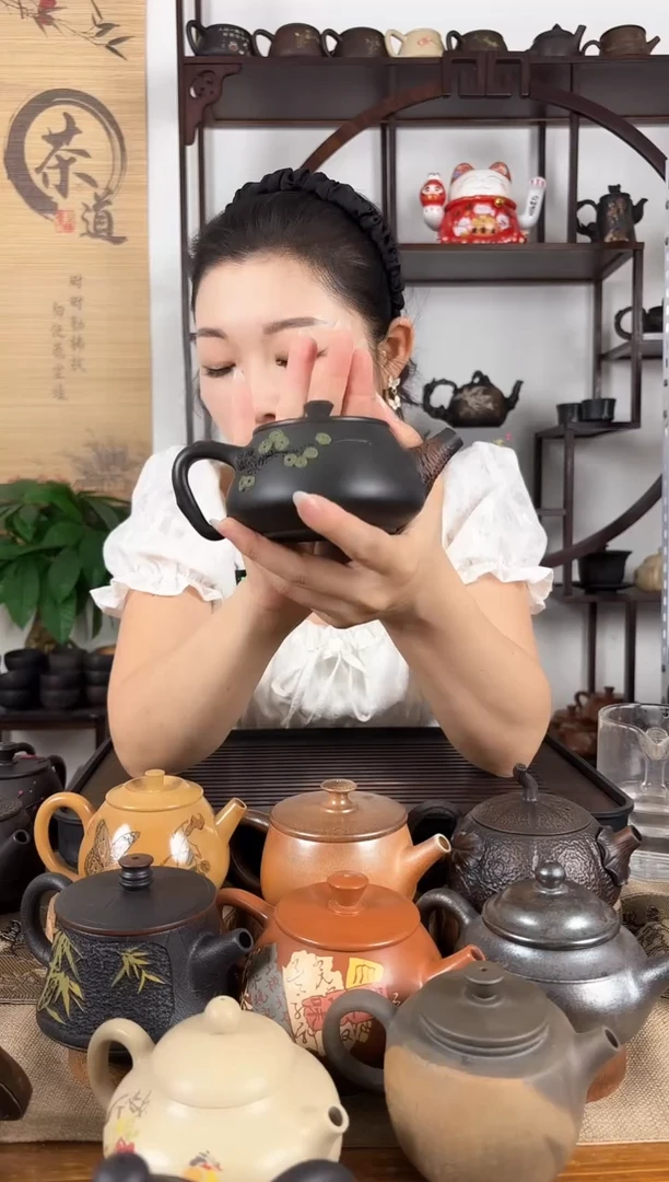 壶球孔 根艺壶 建水紫陶