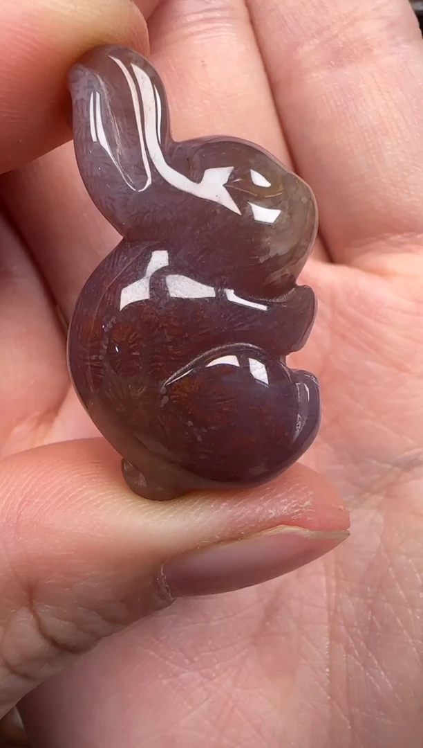 硅化珊瑚（珊瑚玉）未镶嵌颈饰150