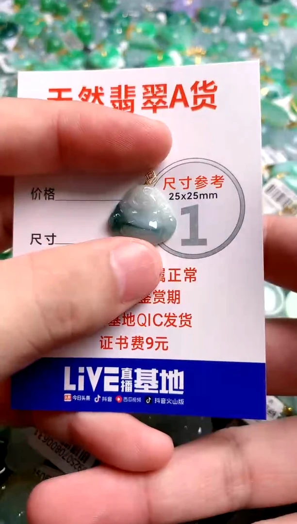 翡翠18K金镶嵌颈饰26100513