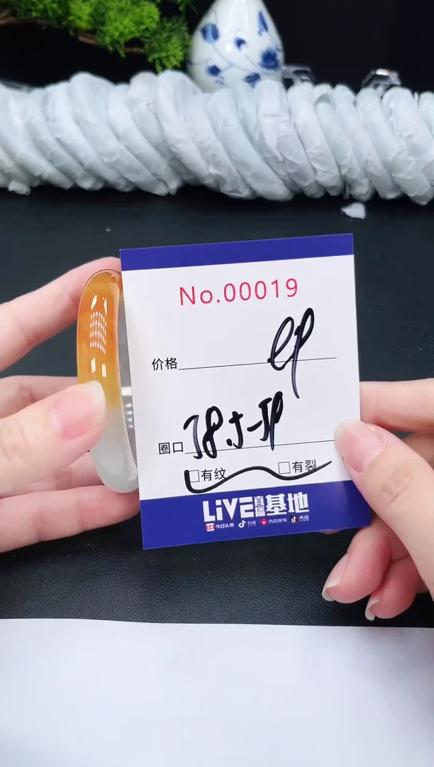 未镶嵌手镯翡翠19