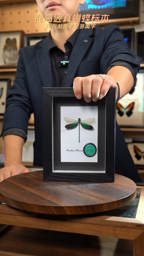 华艳色蟌火漆章版7寸黑框