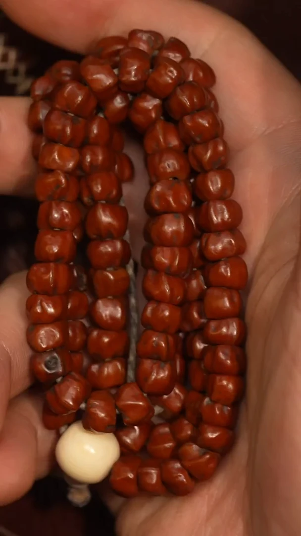 冲赛康胡子哥，藏传念珠256