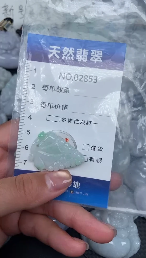 颈饰未镶嵌翡翠纯天然A货翡翠2853