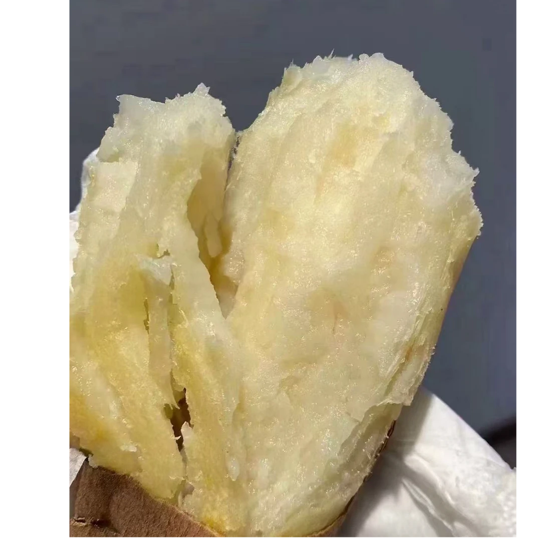 白哈密地瓜 6斤/份蜜薯