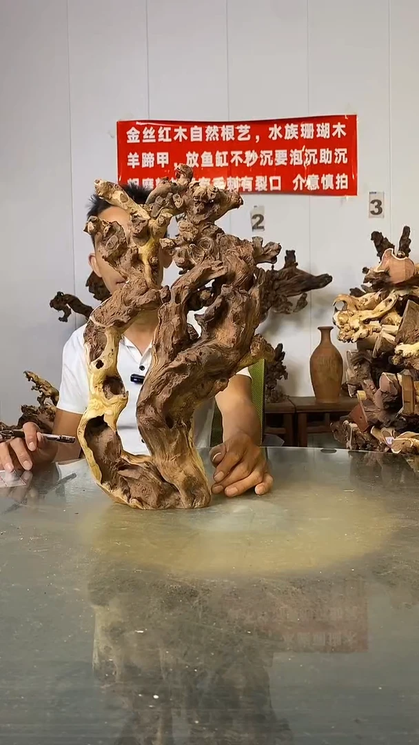 香榧木@*金丝红木   羊蹄甲