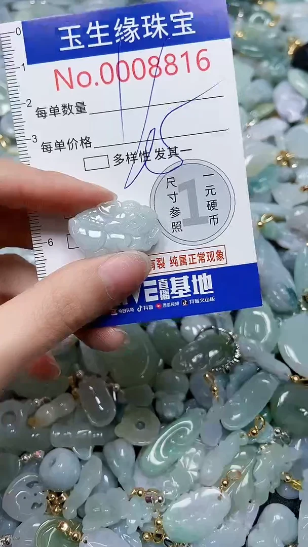 【闪购商品】翡翠颈饰未镶嵌闪购00008816