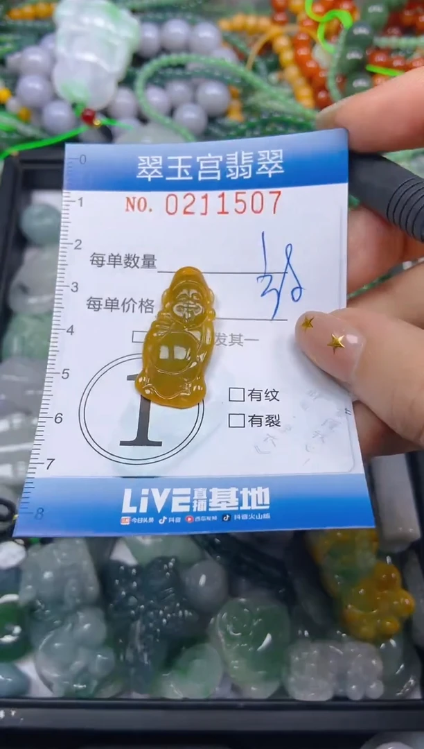 颈饰未镶嵌翡翠闪购C0211507