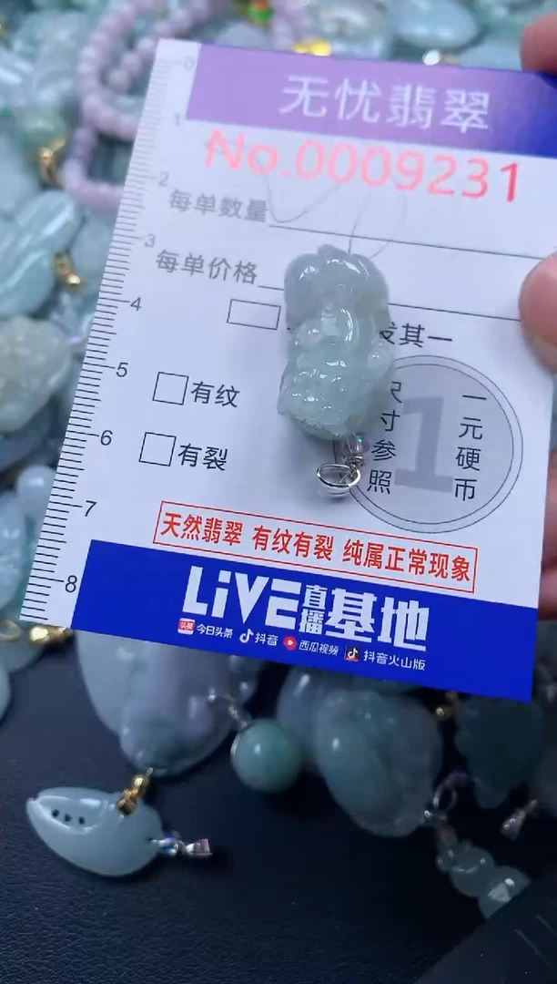 颈饰未镶嵌翡翠9231