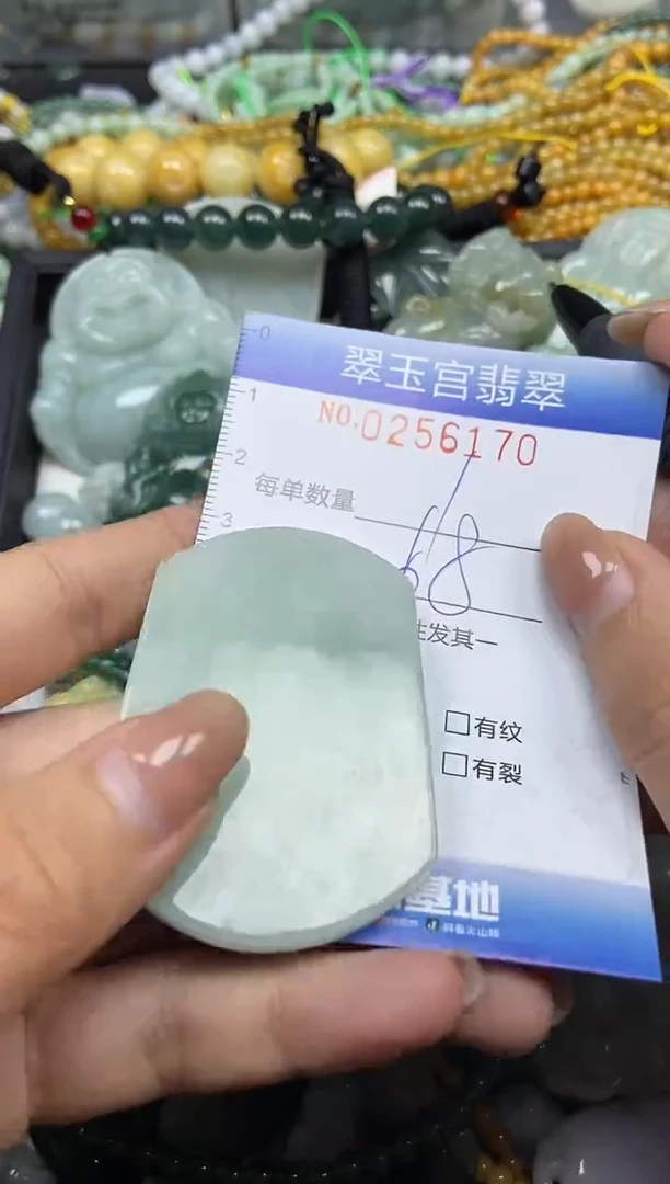 颈饰未镶嵌翡翠闪购C0256170