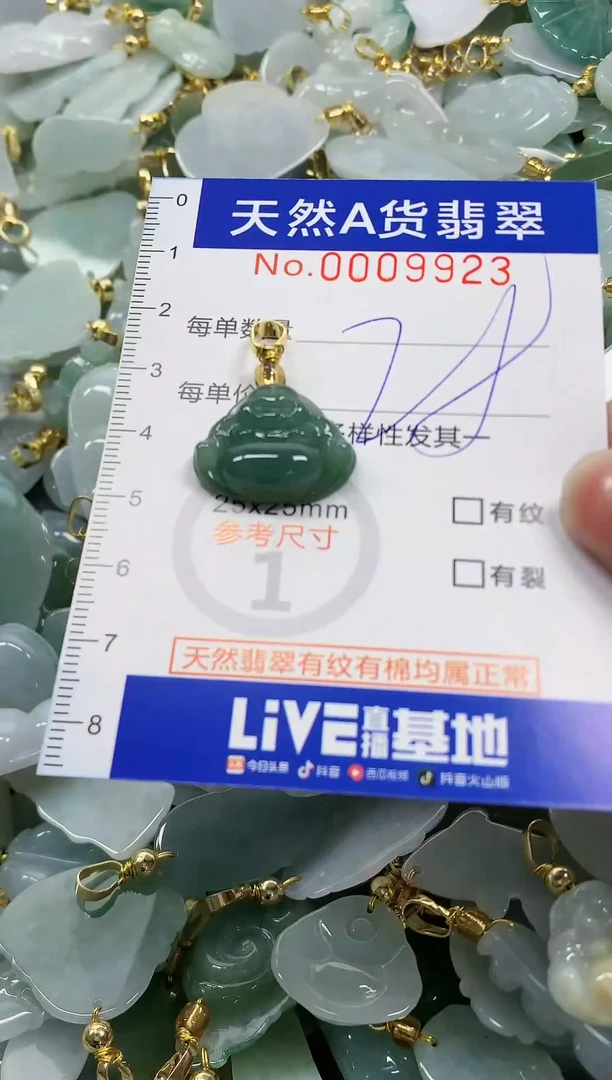 颈饰未镶嵌翡翠纯天然a货翡翠·