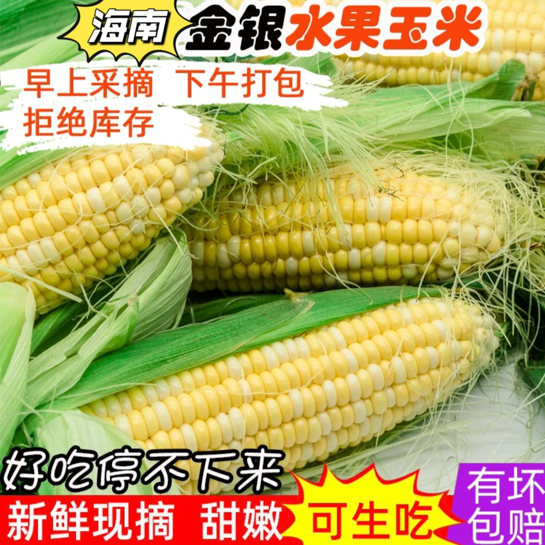 新鲜海南水果玉米头茬甜玉米当季优质3/5/斤现摘脆甜爆浆包谷