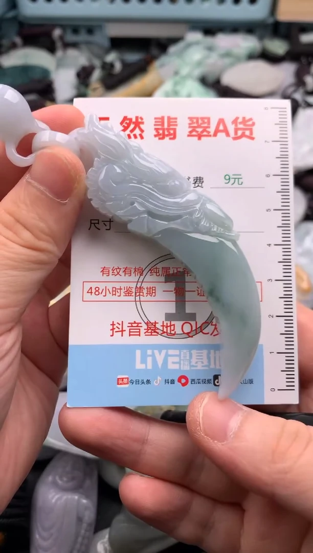翡翠未镶嵌吊坠(不含链)1