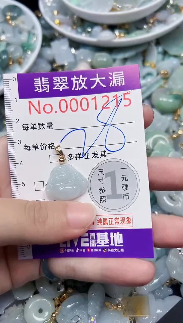 颈饰未镶嵌翡翠1215