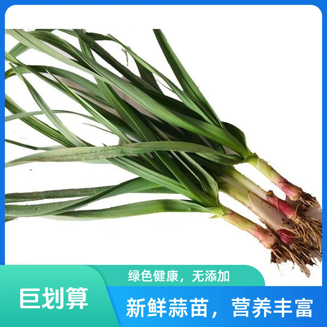 蒜苗500g左右