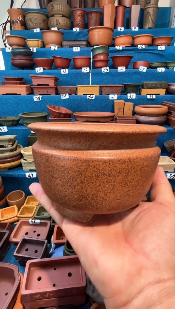 【闪购商品】紫砂紫砂花盆11.5*8.5