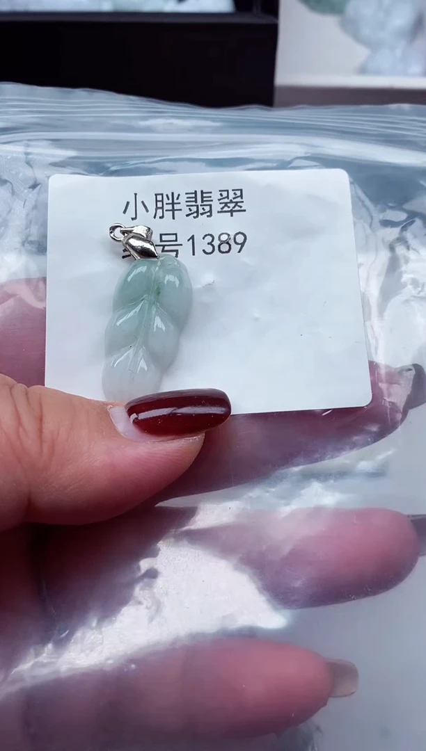 颈饰未镶嵌翡翠缅甸天然A货翡翠1389
