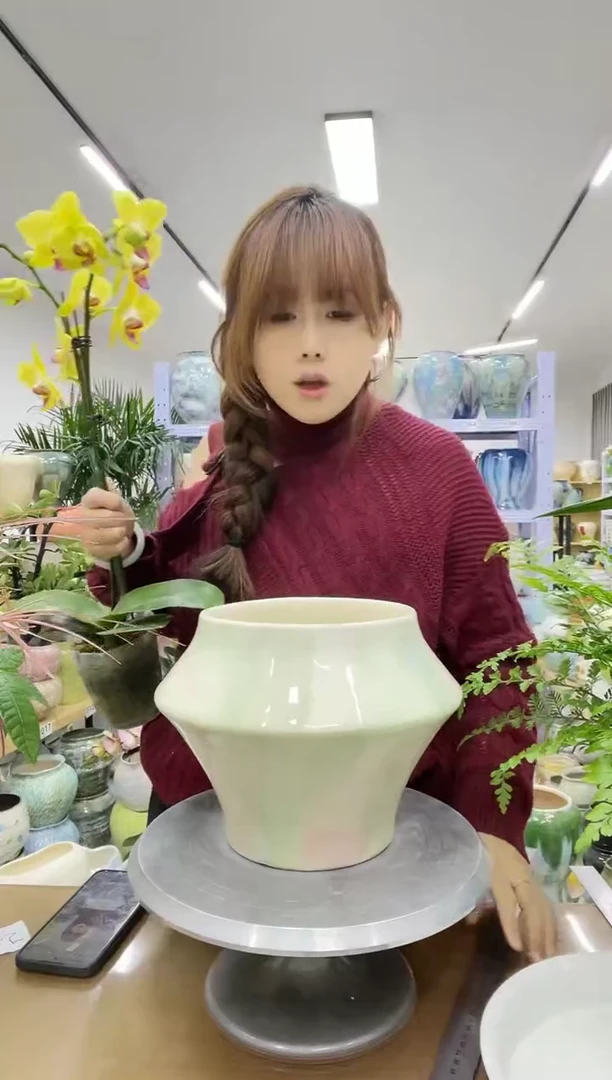 11.20陶瓷花盆直播链接高. 20     口18