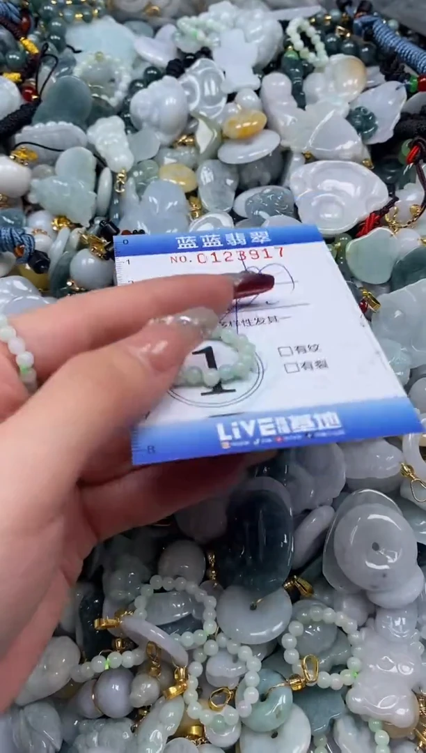 【闪购商品】翡翠颈饰未镶嵌闪购0123917多样性发其一