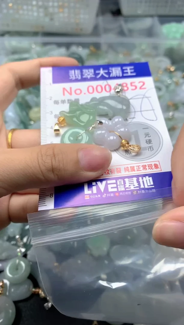 颈饰未镶嵌翡翠4852