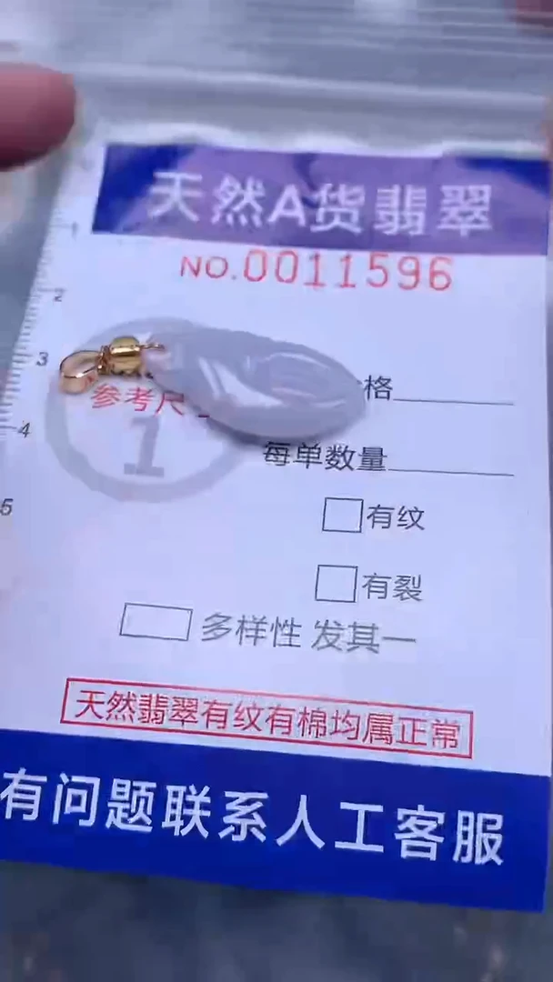 翡翠未镶嵌吊坠(不含链)1