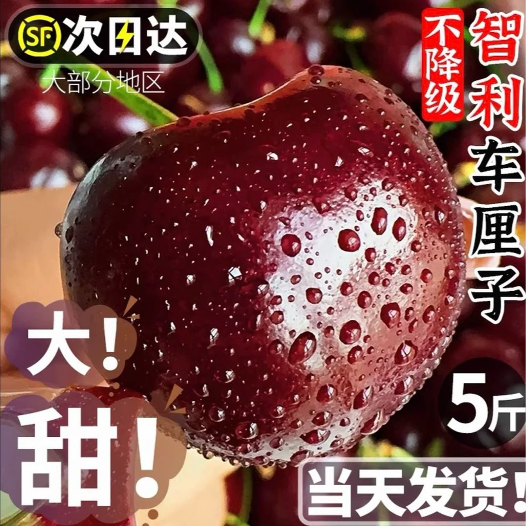 【顺丰明天到】4JD3JD智利进口原箱5斤车厘子桑提娜海运Y1桑提娜内附果径卡新鲜次日达Y桑提娜樱桃智利共和国