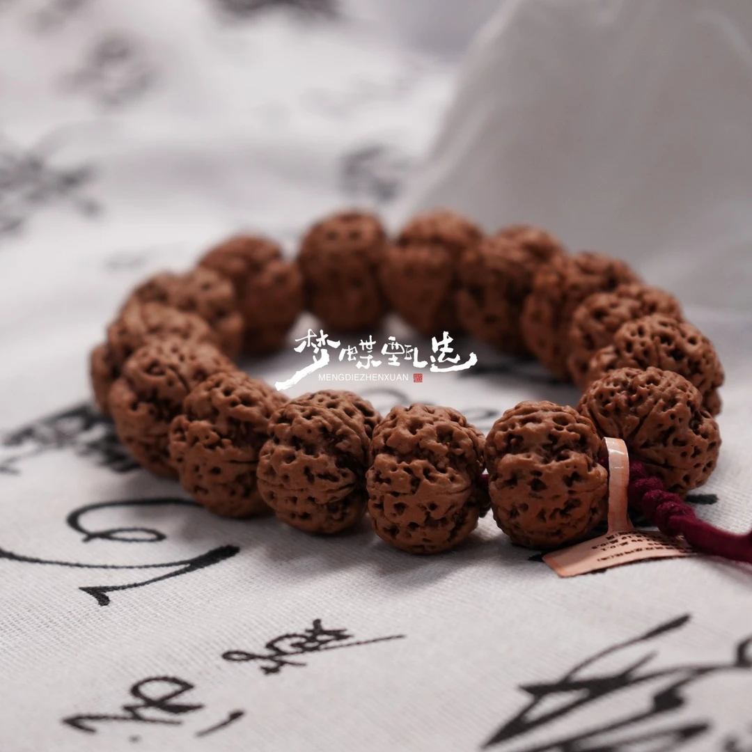 星渊系列平头五星蜂窝梅花（浅）20cm+圈径金刚菩提单圈，含备籽