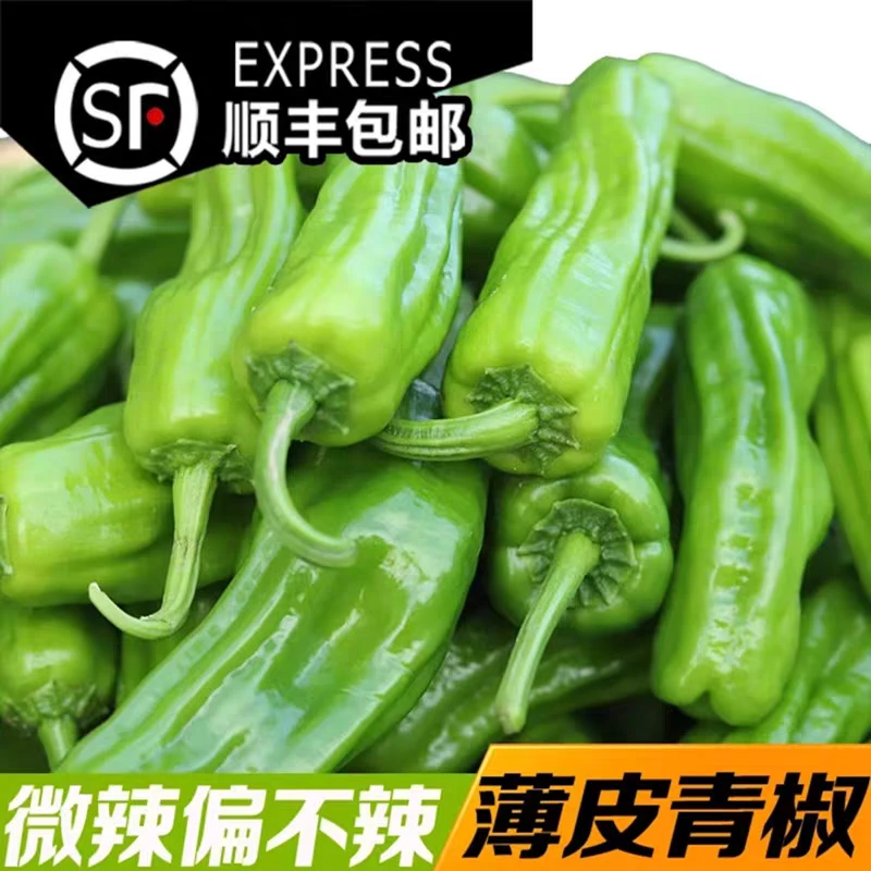 【顺丰速发】湖北农家自种虎皮辣椒现摘新鲜微辣薄皮青椒泡椒芜湖椒