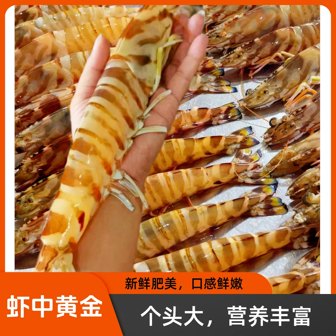 斑节虾九节虾竹节虾海鲜花虾大虾同城送