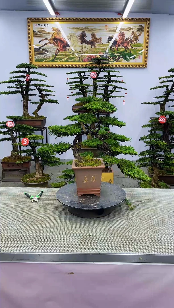 【闪购商品】啊一物一拍，所见即所得