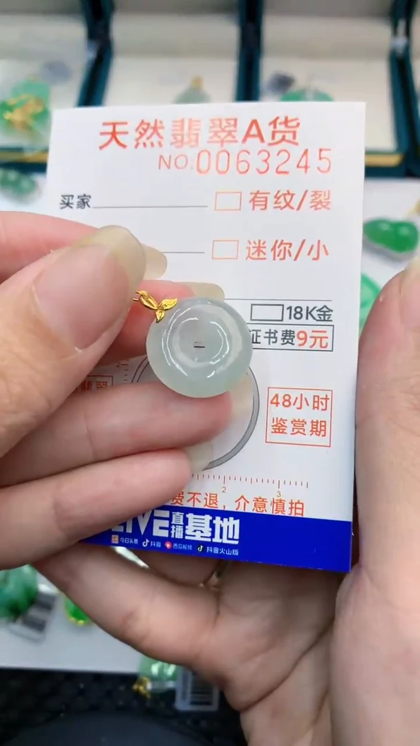 【闪购商品】翡翠颈饰18K金镶嵌            8