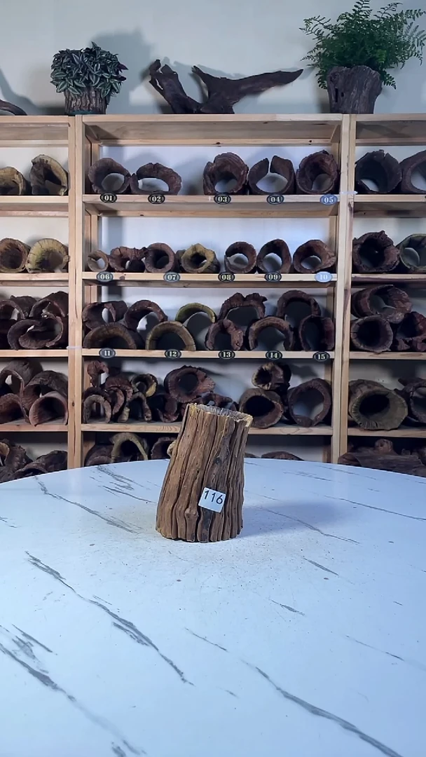 明*云南紫柚木造景沉木116