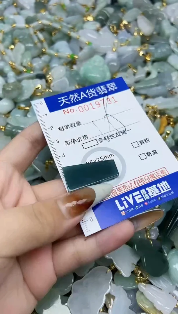 【闪购商品】翡翠颈饰未镶嵌天然A货翡翠