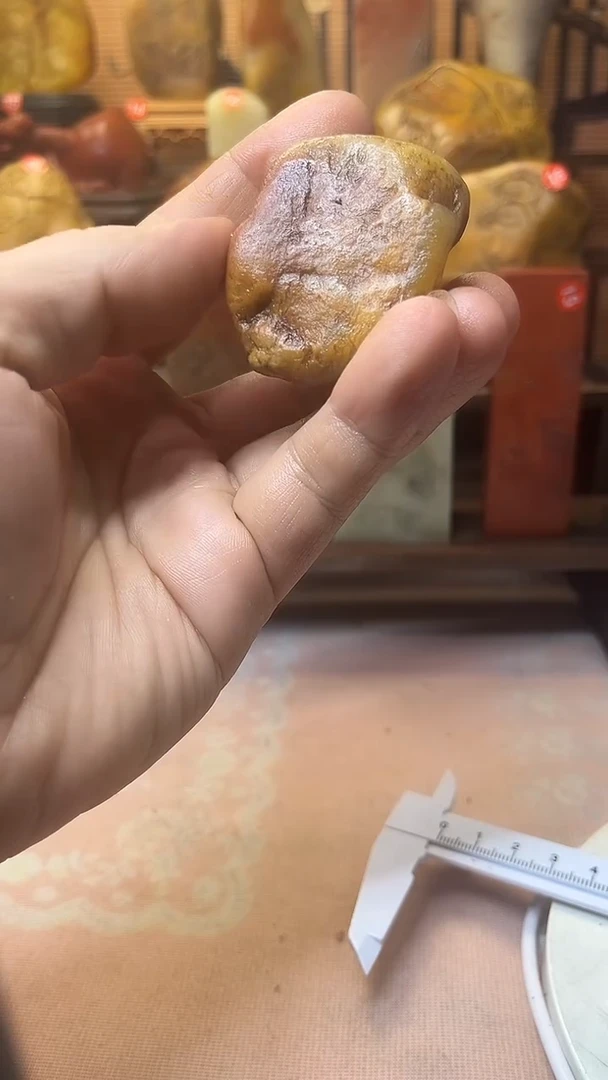 寿山石印石梅*寿山石田料236556