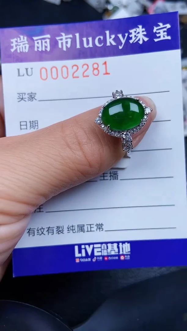 翡翠银S925镶嵌颈饰2281