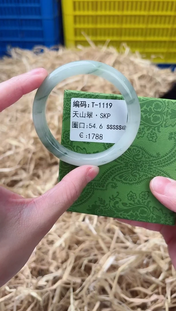 未镶嵌手镯石英质玉T-1119