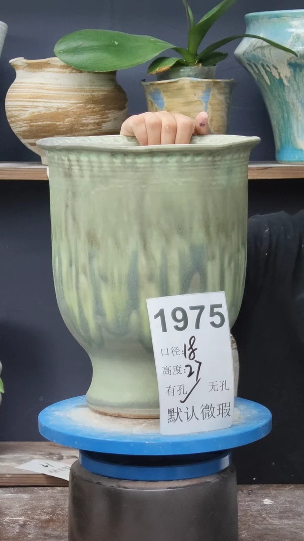 景德镇花盆默认微瑕1975