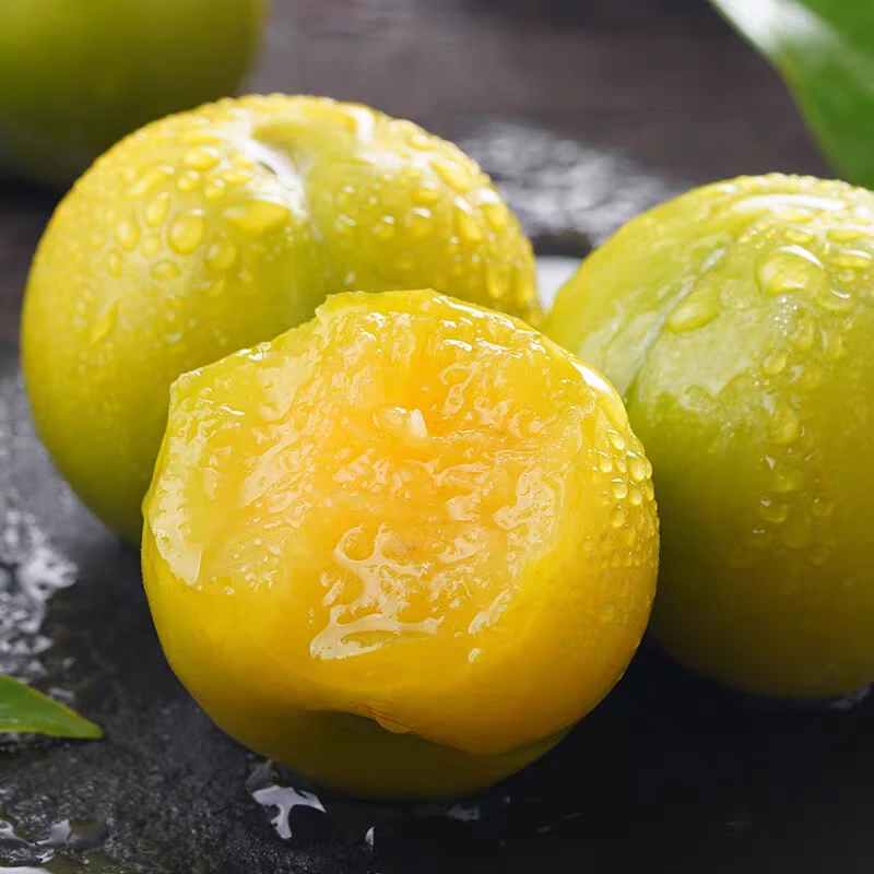 正宗贵州六马蜂糖李【顺丰次日达】青皮黄肉果肉香甜现采现摘彩箱礼盒0.5-4斤贵州省